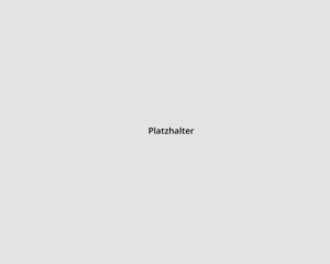 Geschäftsführer Harald Kimmerle und Wolfram Schäfer