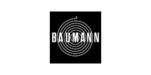 Referenz Logo Baumann 2