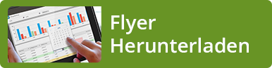 Flyer Auftragssteuerung downloaden